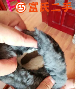 正品UGG童鞋  49元