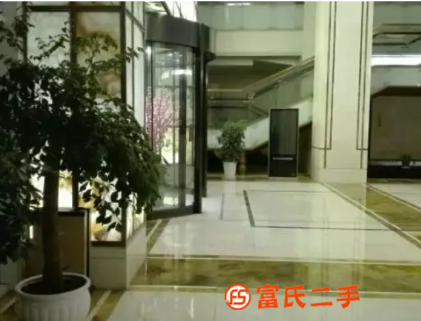 寧波綠植花木租售，養(yǎng)護(hù)服務(wù)