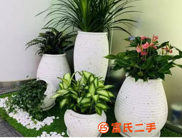石景山花卉养护公司,诚信交易