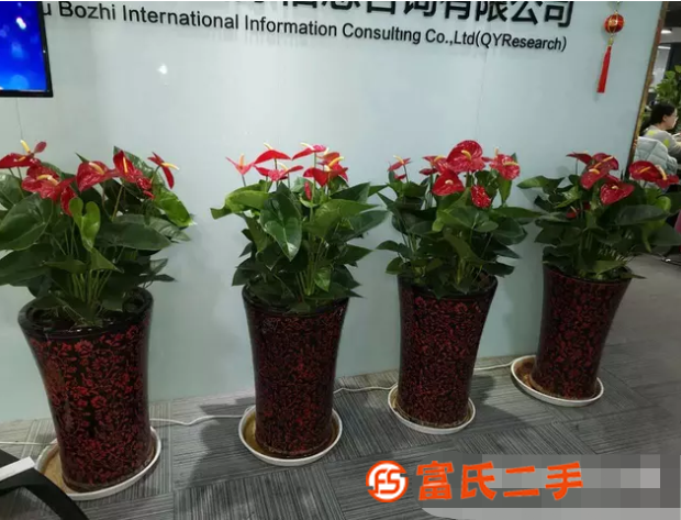 工体花卉公司,诚信交易
