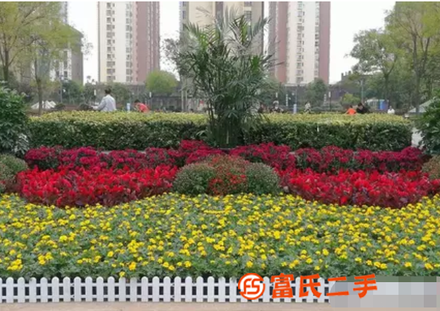 渭南花卉租赁，渭南绿植租赁，渭南草花基地，渭南草坪