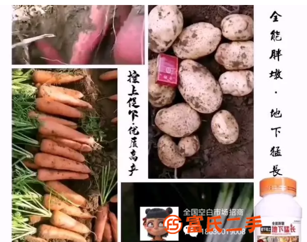 地下猛长块根茎专用控旺膨大增产水溶肥料为峰肥业厂家直销