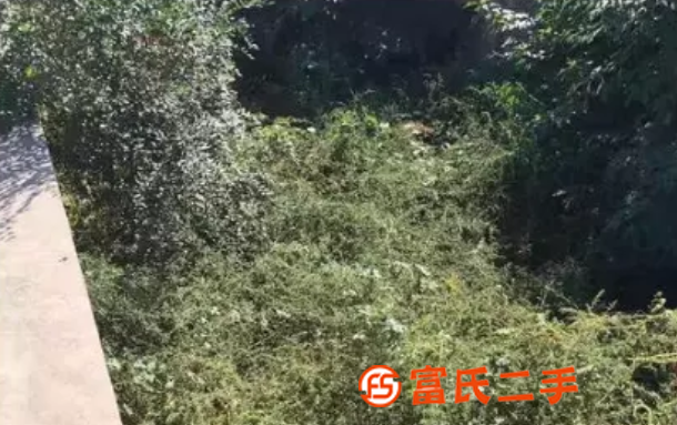 天津红桥区小区除草不用除草剂,也能除草
