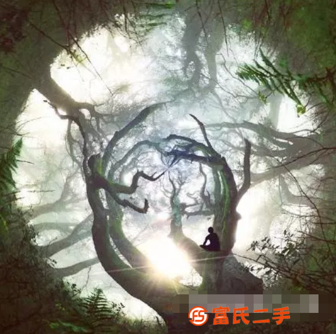 北京培训公司注册 书法绘画培训执照转让