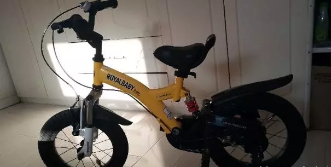品牌自行车  300元