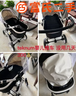 Teknum婴儿推车  300元