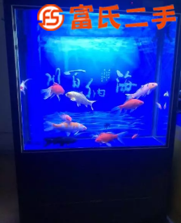 鱼缸  1200元