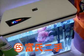 出售闲置鱼缸  500元