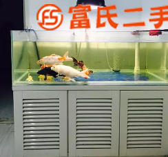 转让10毫米超白底滤鱼缸可养锦鲤或珊瑚  2800元