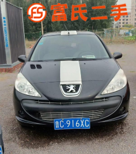 10年 标志207 