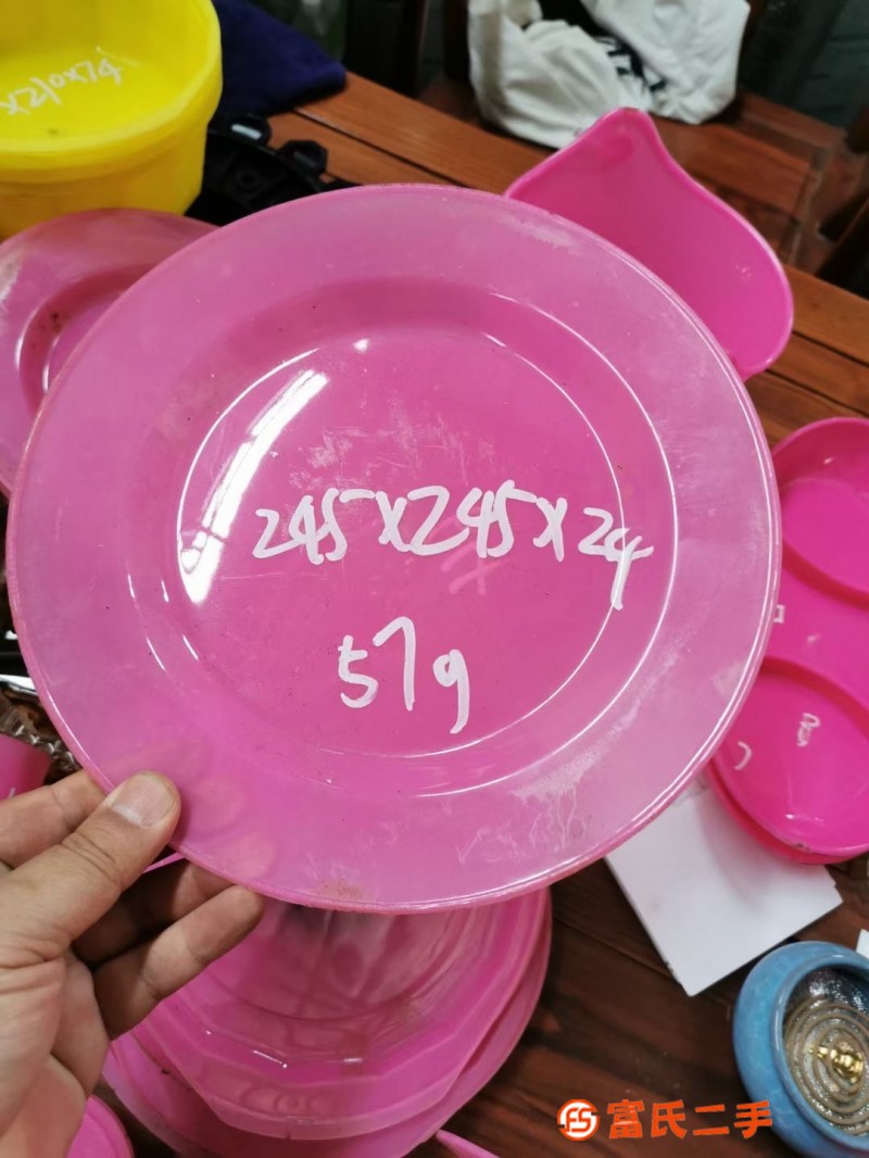 Plate dinner plate